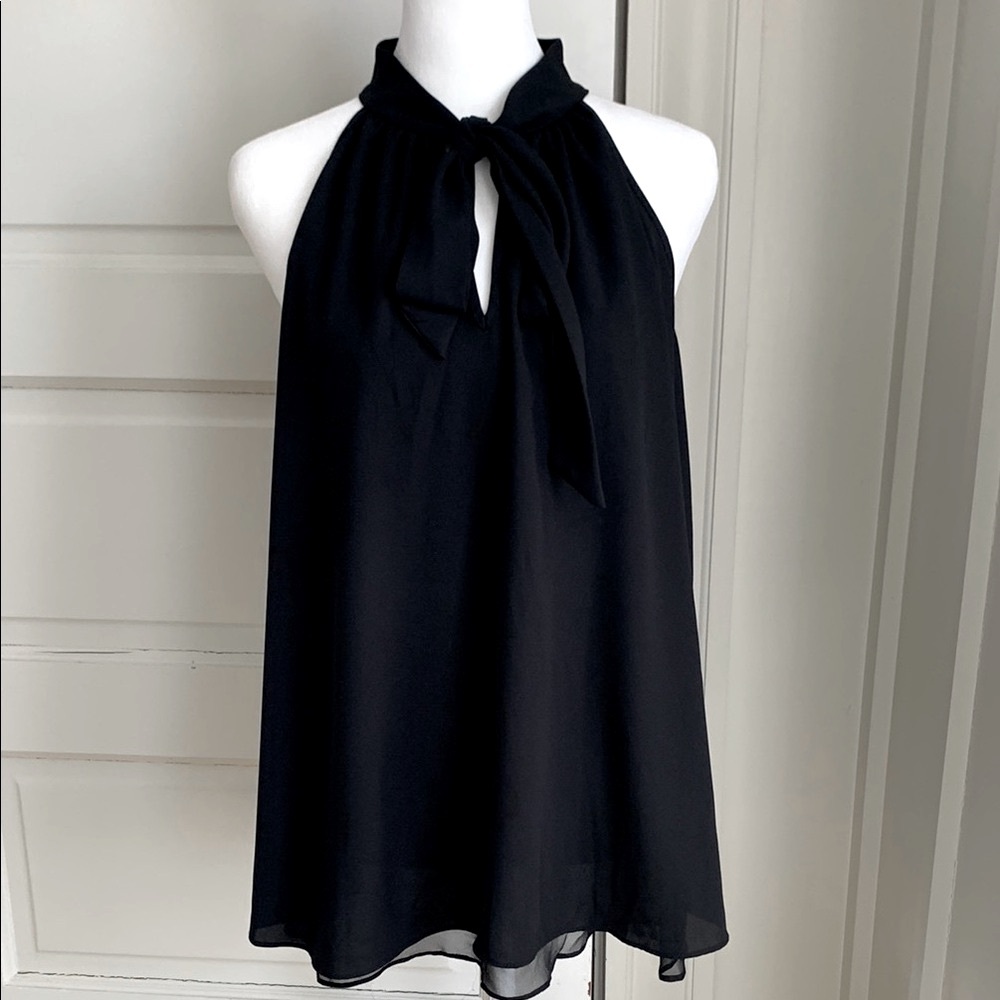 Lola & Sophie Elegant Semi Shear Layered  silk blend Crepe Black Halter Top